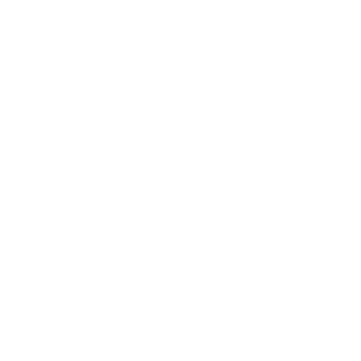 V3 Decal