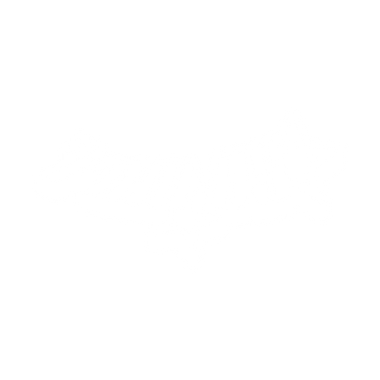 V3 Decal