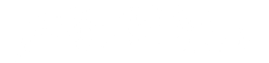 V5 BANNER