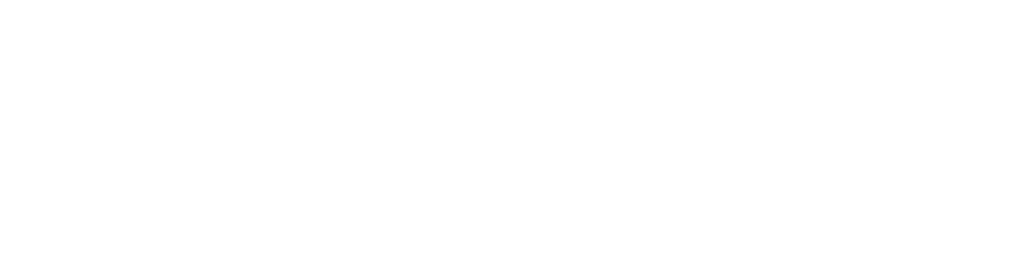 V4 BANNER