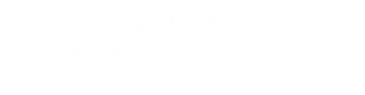 V4 BANNER