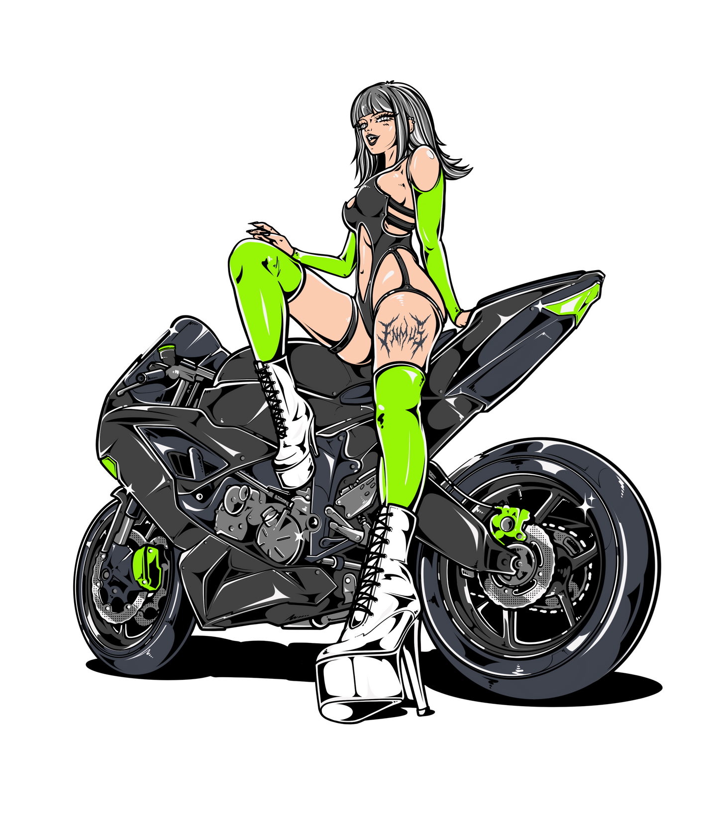 ZX6R sticker