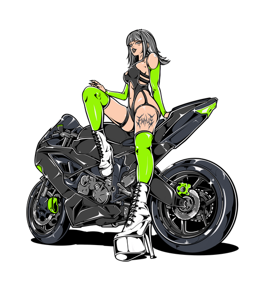 ZX6R sticker